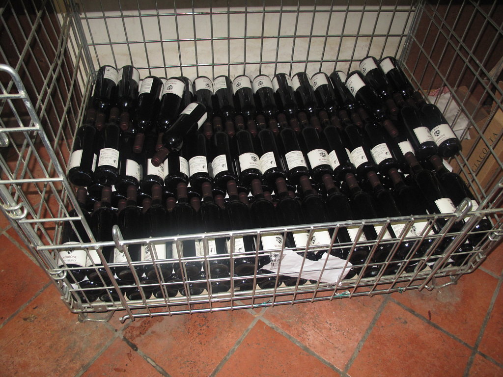 IMG-4629.JPG