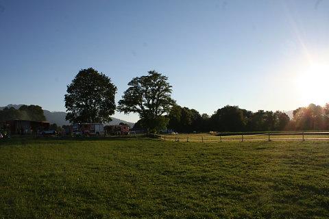 IMG-3181.JPG
