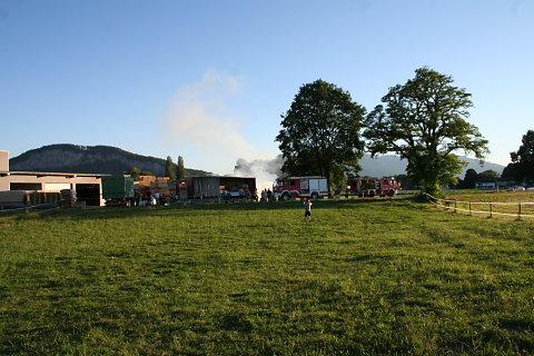 IMG-3178.JPG