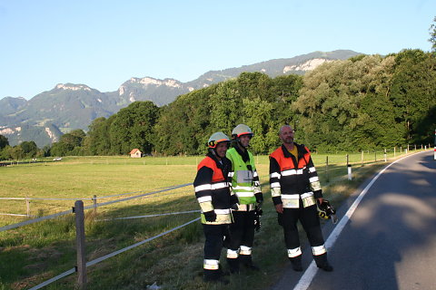IMG-3169.JPG