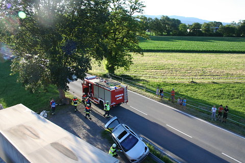IMG-3154.JPG