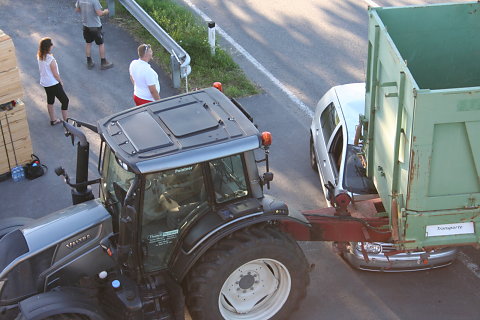 IMG-3137.JPG