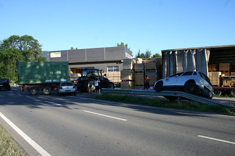 IMG-3134.JPG