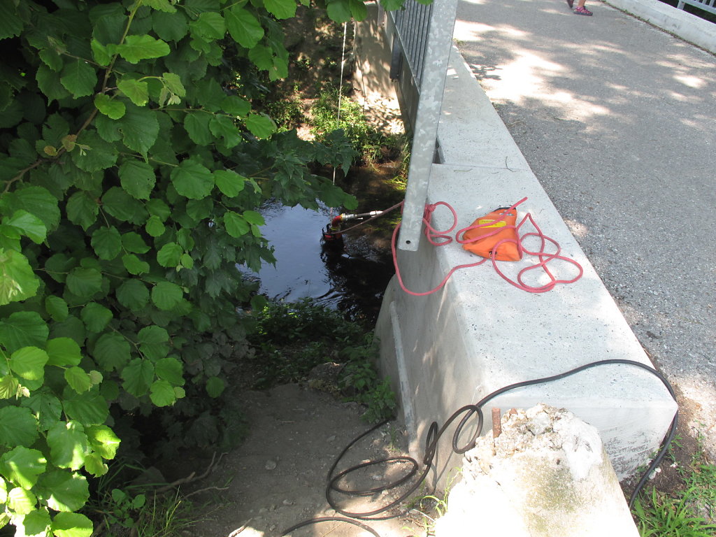 IMG-0220.JPG